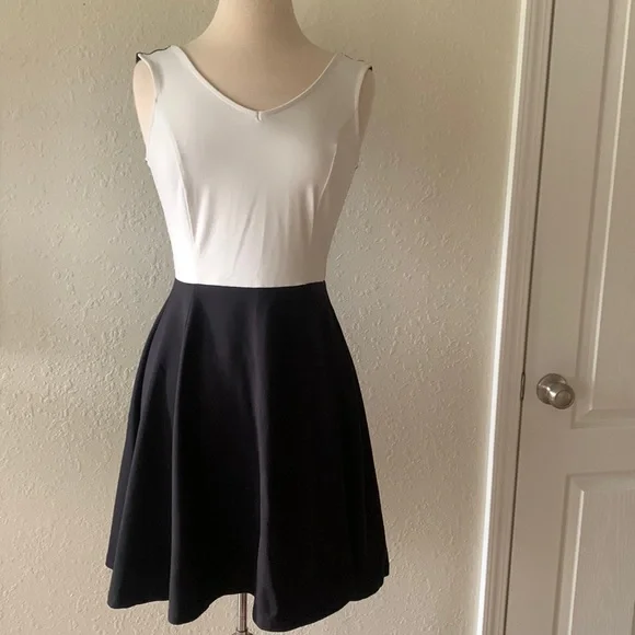 Cynthia Rowley Black and White Color Block Fit and Flare Stretch Dress S  Small